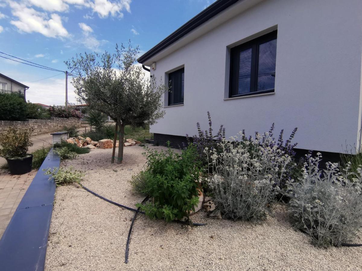 Villa Oliva Umag Eksteriør bilde